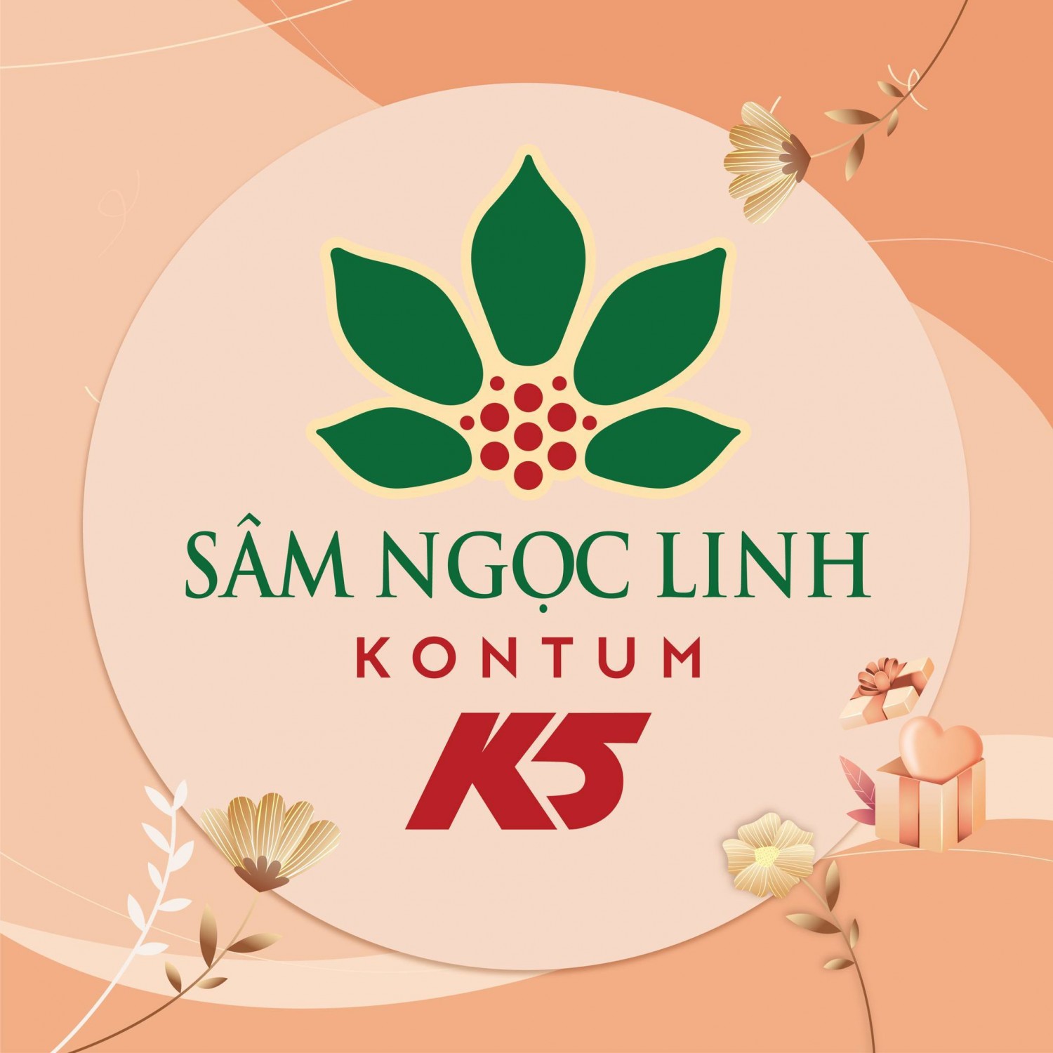 Cách Sử Dụng Sâm Ngọc Linh Kon Tum K5