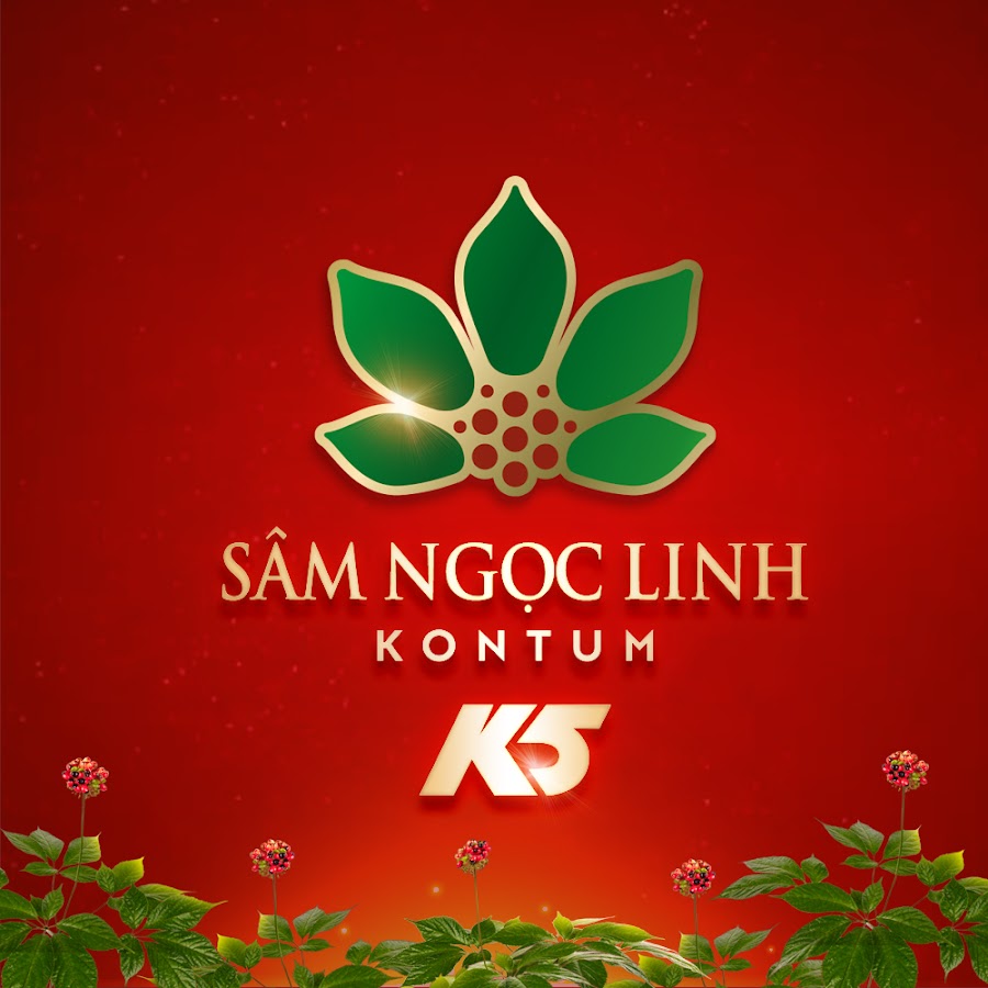 Những Đối Tượng Không Nên Sử Dụng Sâm Ngọc Linh Kon Tum K5